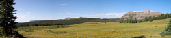 Derby Mesa Meadow